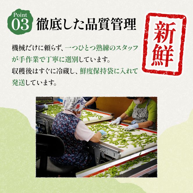【令和8年産】 つまりちゃまめ 1.8kg（300g×6袋） 茶豆 枝豆 えだまめ 豆 野菜 新潟 十日町市