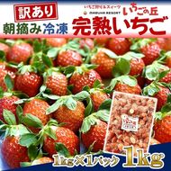 まるは食堂 マルハリゾート いちごの丘 『訳あり』完熟 冷凍いちご 1kg ｜ 訳あり いちご イチゴ 冷凍 　1kg 国産 完熟 スムージー ジャム ヨーグルト シャーベット デザート アイス おやつ 果物 フルーツ 愛知県 美浜町 ※北海道・沖縄・離島への配送不可