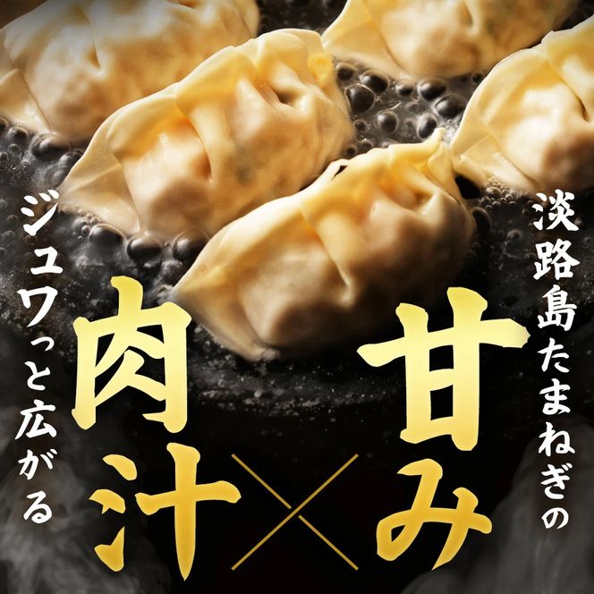 淡路島たまねぎたっぷりジューシー餃子 100個　餃子