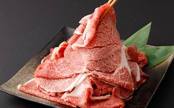 ＜黒毛和牛切り落とし 500g×2パック 計1kg＞翌月末迄に順次出荷 【c1456_tu】 黒毛和牛 和牛 牛肉 肉 切り落とし 切落し お肉 国産 九州産 冷凍 宮崎県 高鍋町