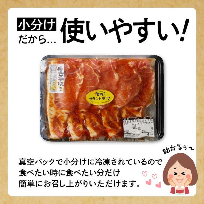 【宮崎ブランドポーク】豚ロース生姜焼きタレ漬け(330g×2袋)N061-YA0454