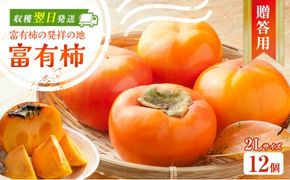 富有柿発祥の地から収穫翌日発送！【贈答用】富有柿2Lサイズ12個｜かき フルーツ カキ 果物 くだもの 産地直送 岐阜県 瑞穂市 お取り寄せ ※離島への配送不可 ※2025年11月～12月中旬頃に順次発送予定