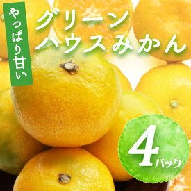 BF6055_【2026年先行予約】グリーンハウスみかん 4パック 【ミカン 蜜柑 柑橘 温州みかん 有田みかん ハウスミカン 和歌山】