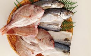 瀬戸内の魚でつくる 干物 6枚入りBOX [№5735-1939]