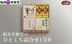 桜井甘精堂 ひとくち詰合せ1号B ［桜井甘精堂］栗 スイーツ 和菓子 かのこ 羊羹 栗羊羹 ようかん 栗きんとん 長野 信州 栗かのこ 落雁 くり 詰合せ 詰め合わせ お取り寄せ 名物 ギフト 贈答 ［S-11］