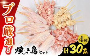 【旨味凝縮！】九州産 鶏三昧 焼き鳥セット 4種類 30本 / やきとり ヤキトリ 焼鳥 串セット 国産 冷凍 小分け / 南島原市 / ふるさと企画[SBA076]