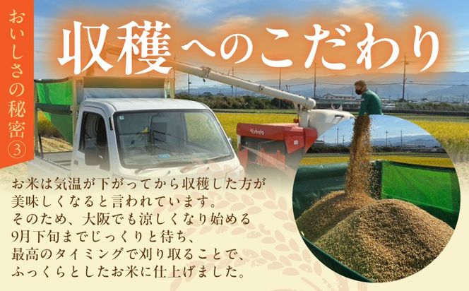 G5607-1 令和8年産 泉佐野産 にじのきらめき 5kg