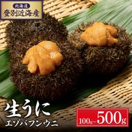 北海道 登別近海産 極上エゾバフンウニ パック詰 100g ※2025年6月より発送