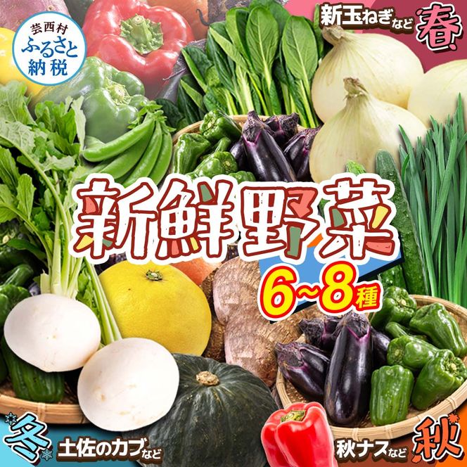【CF-R7hbk】KPP030　朝どれ！ 野菜詰合せ／芸西村で採れた新鮮な野菜6～8種類をお届けします。特産品 ピーマン ナス こだわりの栽培方法 環境に優しい 安全で安心な野菜づくり  支援品