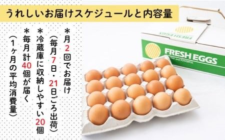 《月2回 × 20個 3ヶ月コース》卵 てつやとのりこの玉子 全6回定期便 糸島市 / 板垣ファーム 卵 たまご 玉子 鶏卵 卵かけご飯 便利 定期便 定期購入 [AWD012]