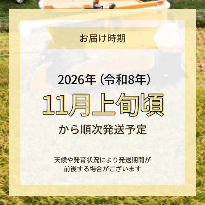 【令和8年産 新米予約】【無洗米】秋田県産特別栽培米ササニシキ10kg（5kg×2袋）新米 お米 おこめ 精米 小分け 特別栽培米