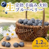 【先行受付予約】知多半島 生ブルーベリー 1.2kg（100g×12パック） 完熟 果物 フルーツ 旬 農園直送 青果物 国産 健康 美容 愛知県 美浜町 ブルーベリーの里みはま 産地直送 ※2026年6月上旬～8月中旬に順次発送予定 送料無料 数量限定 期間限定 ※北海道・沖縄・離島への配送不可