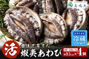《12/21まで年内発送》【冷蔵 活あわび 養殖 9.5cm×4枚 400g～480g (1個100～120g）】満点青空レストラン うまい！おせち2023に採用されました！アワビ 鮑 活アワビ あわび 海鮮貝 魚介 お刺身 BBQ バター焼き 新鮮 日本海 養殖 昆布 レシピ入り 人気 テレビ 紹介 話題 高級 香美町 香住 山陰 美嶋 20-03 ☆