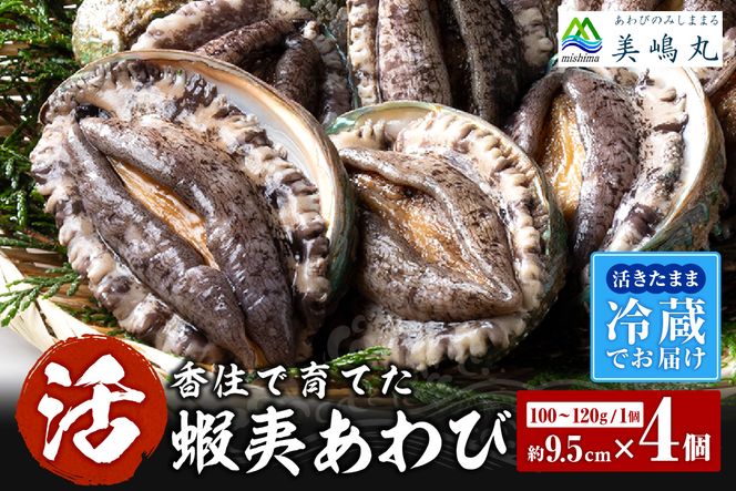 yɌzy①  {B 9.5cm×4 400g`480g (1100`120gjzVN ڈFmF1ȓ {C {B Vs  Z RA  Ar CN hg o^[Ă  20-03 