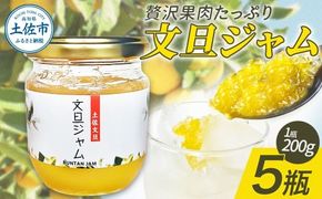 贅沢果肉たっぷり文旦ジャム 土佐文旦 文旦 5瓶 ぶんたん ブンタン フルーツ 柑橘 果物 くだもの 柑橘類 パン トースト ヨーグルト お取り寄せ 国産 常温 配送【松岡ぶんたん園　手作り工房Ｒ】 [BQCJ002]