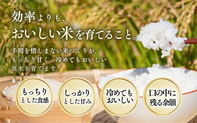 伊賀米コシヒカリ 令和8年産 新米 特別栽培米「真米」白米5kg【ymnk0001A】