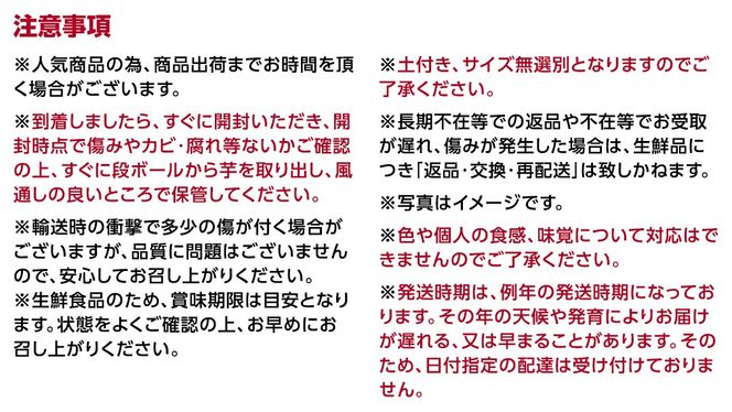 ＼ 選べる内容量 ／ 茨城県産 紅はるか 5kg 10kg 土付き 無選別 熟成 さつまいも 生芋 芋 サツマイモ 甘い 焼き芋 スイートポテト ねっとり つくばみらい市 茨城県産