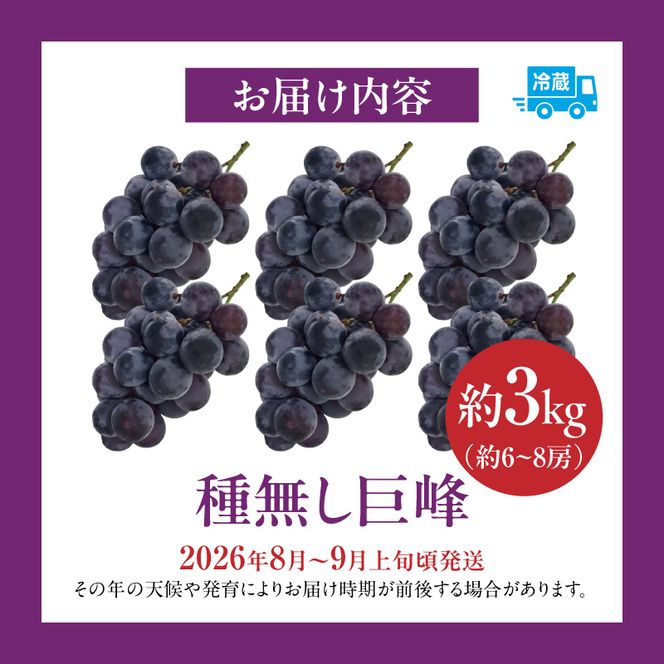種無し巨峰 約3kg（約6～8房） 2026年 先行予約 種なしぶどう ［098O03］