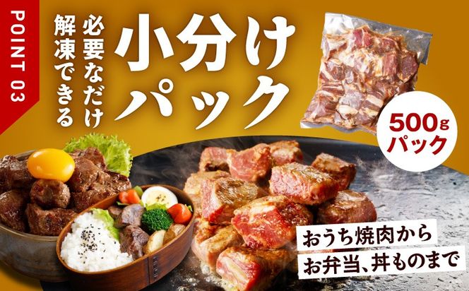 mrz0279 【訳あり】牛ヒレ肉 切り落とし 1kg【小分け 500g×2P 氷温熟成×特製ダレ サイズ不揃い やわらか ステーキ ひと口サイズ カット済み】