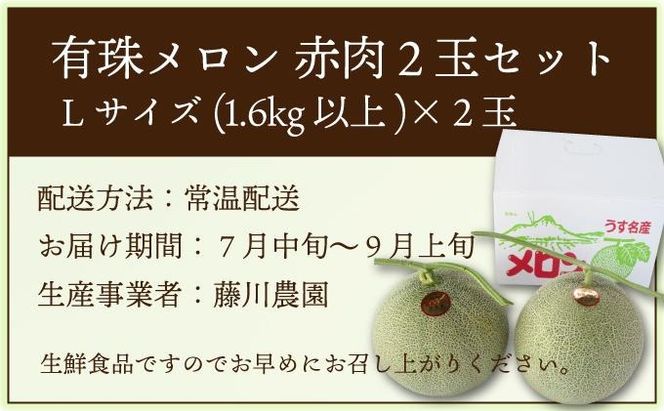 ＜2026年先行予約＞北海道産 有珠メロン 2玉 セット 赤肉 Lサイズ 1.6kg以上×2玉 ツル付き レッドルピア 果物 めろん フルーツ くだもの 完熟 旬 ご褒美 ギフト お祝い 産地直送 お取り寄せ 北海道 藤川農園 送料無料 伊達