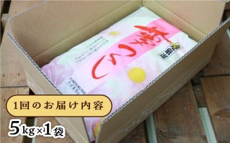 【全6回定期便】糸島産 夢つくし 5kg × 6回 糸島市 / 三島商店 [AIM006] 米 白米