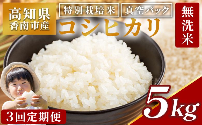 無洗米 定期便 [3回定期便]令和7年産 高知県香南市産 特別栽培米 コシヒカリ 5kg Wnu-0012