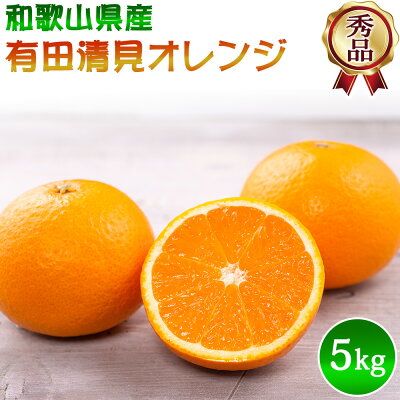 DZ6031n_【2027年先行予約】秀品 きよみ 清見オレンジ 和歌山 有田 S～2Lサイズ 大きさお任せ 約5kg