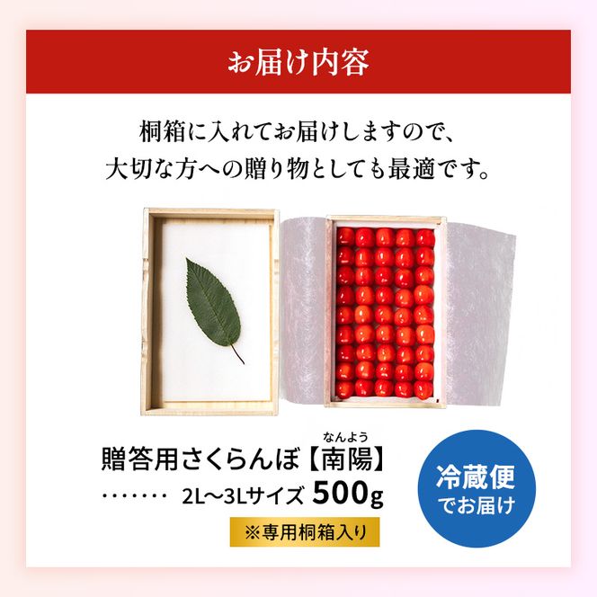 先行受付 北海道 仁木町産 贈答用 さくらんぼ 【 南陽 】 桐箱入 2L～3Lサイズ 500g 果物類 フルーツ チェリー サクランボ  [嶋田茂農園匠]