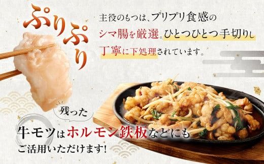 訳あり！ 博多醤油もつ鍋 10人前 2人前×5セット もつ鍋 ホルモン 肉 鍋 福岡 博多 モツ鍋 醤油 モツ もつ 鍋セット しょうゆ