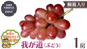 【 桐箱入り 】我が道 （ ぶどう ） 1房 【2025年9月から発送開始】（茨城県共通返礼品 [ぶどう]：結城市産） ぶどう 我が道 果物 フルーツ 季節 旬 [BI394-NT]