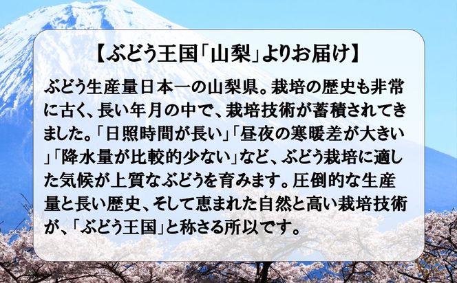 《秀品以上》上級品をお得に　【シャインマスカット】　1.0kg以上（２房）　【2026年発送分 先行予約】- FUJIKAWA GRAPES -