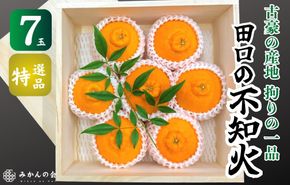 不知火 古豪の産地 田口の不知火 7玉木箱入 特選品 産地直送 贈答用 数量限定［みかんの会］AX146