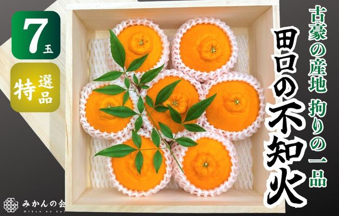 ya̎RLc쒬zsm Í̎Yn c̕sm 7ʖؔ Ii Yn p ʌm݂̉nAX146