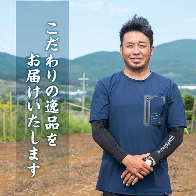 ＜先行予約受付中！2027年1月中旬以降順次発送予定＞ 期間限定！ばれいしょ(10kg) 馬鈴薯 じゃがいも ジャガイモ ポテト イモ 芋 野菜 旬 季節限定 秋馬鈴薯 国産 鹿児島県産 常温 肉じゃが ポテトサラダ フライドポテト 【黒坂青果】akn049-06