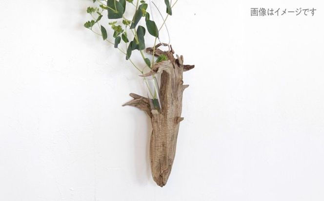Driftwood FlowerBase 流木一輪挿し フラワーベース 糸島市 / WOOD'ARBRE(ウッドラヴル)【TIME】 インテリア 雑貨[ADC003] インテリア 雑貨 一輪挿し 流木 お洒落 木 おしゃれ オシャレ シンプル 壁掛