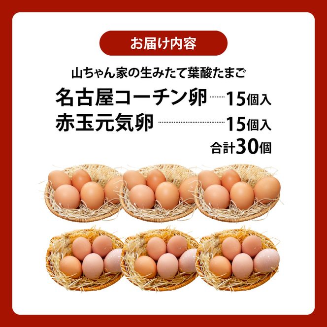 【山ちゃん家の生みたて葉酸たまご】名古屋コーチン卵・赤玉元気卵 食べ比べセット（各15個 合計30個入り）［132Y09］山ちゃん家 生みたて 葉酸たまご 名古屋コーチン卵 赤玉元気卵 食べ比べ セット 各 15個 合計 30個 入り 卵 地鶏 朝食 卵焼き 目玉焼き オムライス ゆでたまご 山田養鶏 お取り寄せ 愛知県 小牧市 送料無料