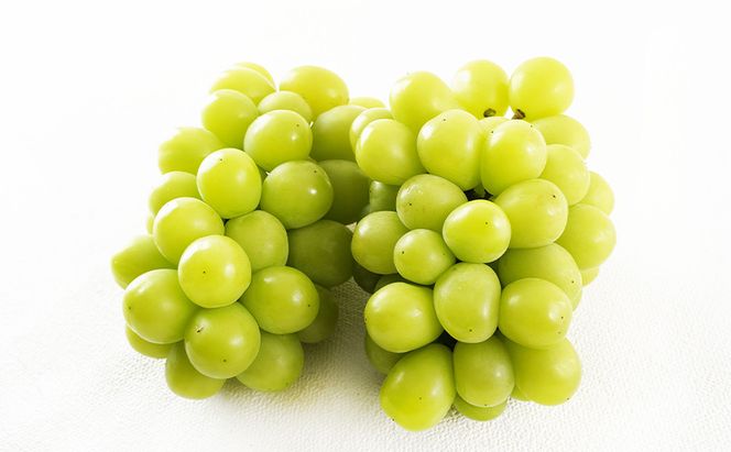 ぶどう 梨 定期便 2026年 先行予約 フルーツ王国 岡山を堪能 4回コース 秋・冬物語 葡萄 ぶどう 梨 なし 岡山県産 国産 果物 セット ギフト 