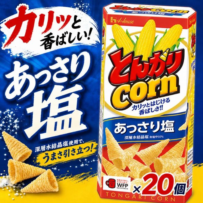とんがりコーン あっさり塩　62g×20個 おやつ 人気 厳選 お子様 こども 子供 袋井市 お菓子 スナック ハウス食品 