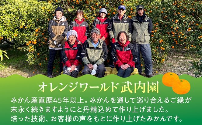 完熟 小粒 有田みかん 3kg 甘味凝縮 和歌山県産 産直45年 武内園 BA03