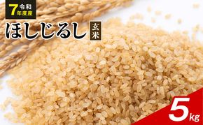 令和7年度産 ほしじるし 5kg 玄米 米 静岡県 袋井市【離島配送不可】