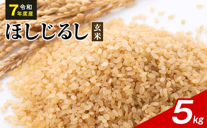 令和7年度産 ほしじるし 5kg 玄米 米 静岡県 袋井市【離島配送不可】