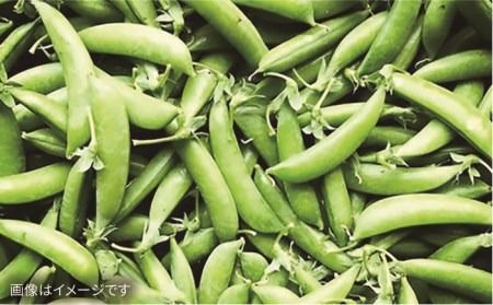 【全6回定期便】【福岡県糸島産】朝採れ 野菜 セット (10品前後) 《糸島》【オーガニックナガミツファーム】 [AGE009] 野菜セット 野菜 やさい サラダ 詰め合わせ トマト とまと 野菜野菜セット 野菜やさい 野菜サラダ 野菜詰め合わせ 野菜トマト 野菜とまと 野菜ベビーリーフ 野菜水菜 野菜ハーブ 野菜オクラ 野菜人参 野菜にんじん 野菜ニンジン 野菜ほうれん草 野菜クレソン 野菜かぼちゃ 野菜カボチャ 野菜じゃがいも 野菜玉ねぎ