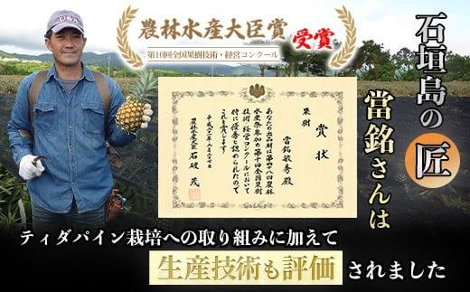 《2025年6月上旬頃より順次発送》[予約受付]　當銘さんの完熟カットパイン1.25kg(250g×5袋)　 YK-4