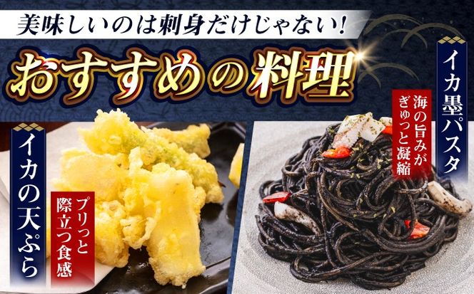 築上町で捕れた コウイカ 約3kg (7〜15杯)《築上町》【明青丸】 いか イカ 海鮮 おつまみ 新鮮 海鮮丼 刺し身[ABCB008]