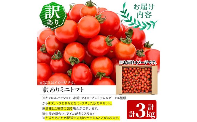 訳あり 規格外 数量限定 門川町産 ミニトマト(計3kg)  訳あり 規格外 数量限定 門川町産 ミニトマト 期間限定 生活応援 とまと 野菜 ミックス 生 旬野菜 冷蔵 小鈴 キャロルパッション プレミアムルビー アイコ 【いけとも農園】【X-10】