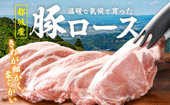 豚ロースとんかつ・ソテー用20枚 - _AA-2506_ ( 都城市 ) 豚肉 豚ロース とんかつ ソテー 100g×5枚×4パック 計20枚 豚 真空パック 冷凍保存
