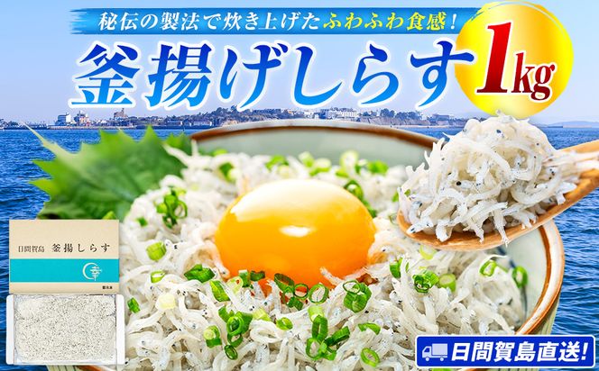 日間賀島 釜揚げ しらす 1kg 天然 塩 愛知県 南知多町 冷凍 ご飯 ごはん パスタ サラダ ピザ 丼 料理 国産 パーティー 魚 さかな シラス ミネラル 人気 おすすめ