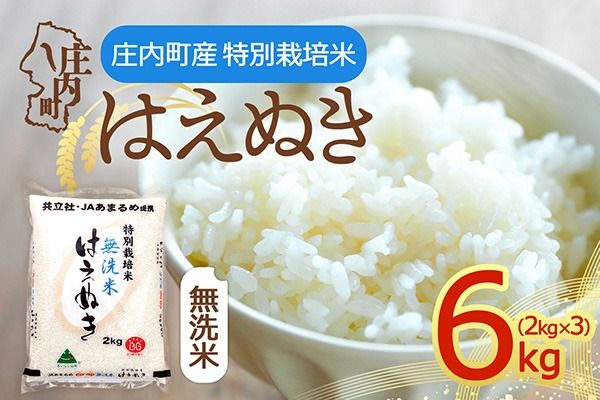 【令和8年産】特別栽培米 はえぬき 無洗米 6kg 2kg×3袋 庄内町産 余目産 余目町農協 あまるめ ブランド米 米 国産 単一原料米 山形 庄内平野