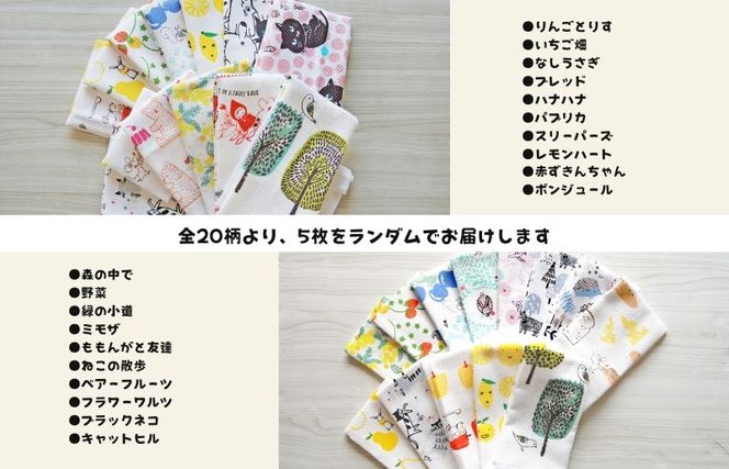 010B1855 抗菌防臭！ふきぴか キッチンタオル 5枚セット 【ギフト仕様 デザインおまかせ】