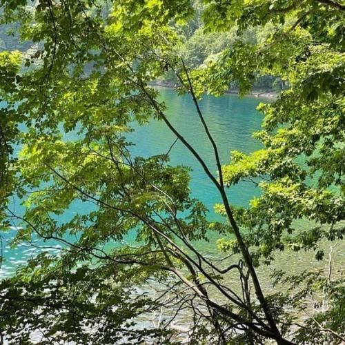 伊達おさんぽかふぇ「森と海さんぽ～ポロノットと有珠の海岸～」